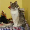 Отзыв от Оксана Ульянова